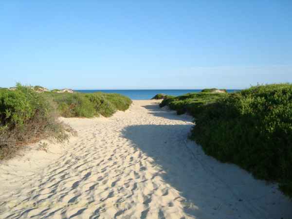 Terrain, Ferme اراضي و مزارع