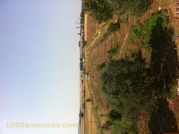 Terrain, Ferme اراضي و مزارع