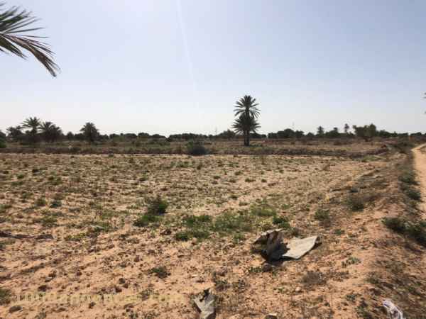 Terrain, Ferme اراضي و مزارع