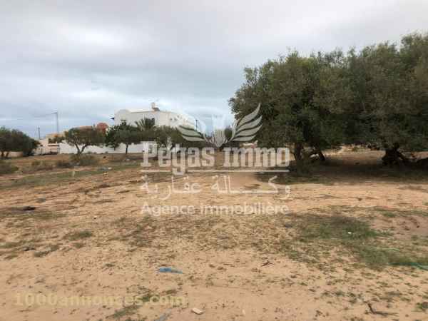 Terrain, Ferme اراضي و مزارع