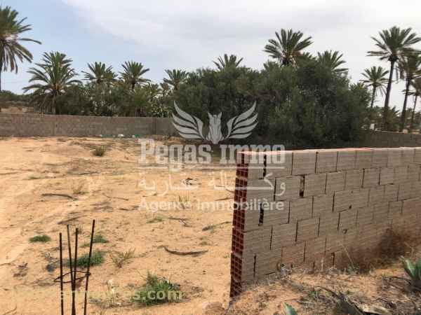 Terrain, Ferme اراضي و مزارع