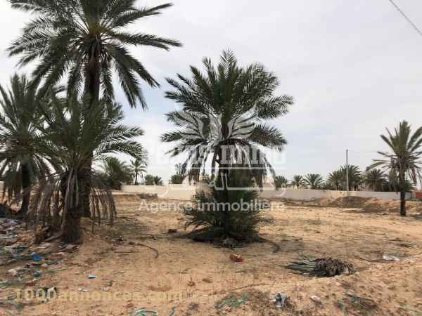 Terrain, Ferme اراضي و مزارع