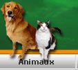 1000 annonces de Tunisie - إعلانات تونس المبوبة categorie Animaux